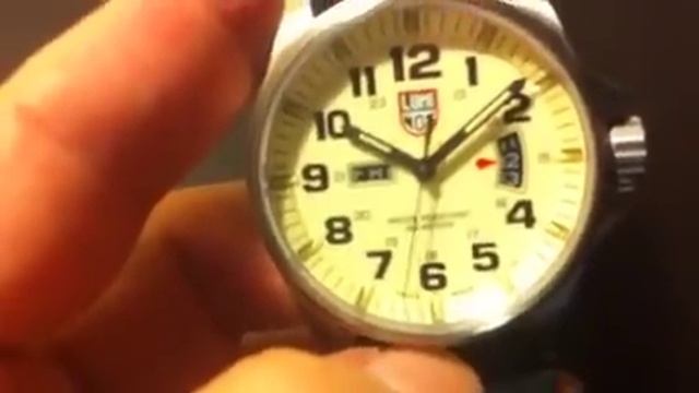 Luminox Field Watch Night View