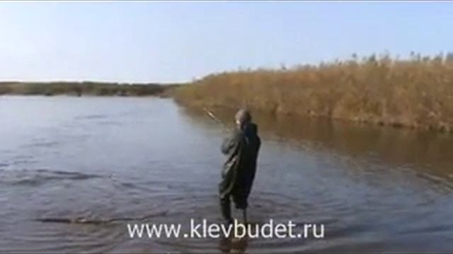 Рыбалка на Камчатке. Ловля лосося. klevbudet.ru смотреть онлайн