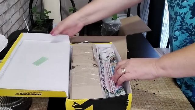Как упаковать растения для пересылки почтой???#упаковкарастений смотреть онлайн