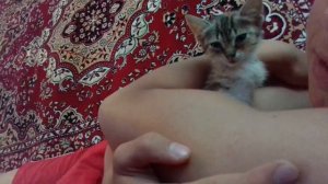 Школьники снова издеваются над животными! Мучать нужно с любовью