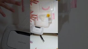 что ест божья коровка /божья коровка лайт /