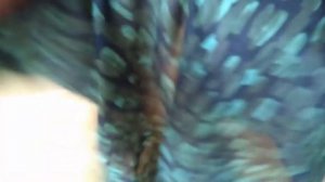 Платье за 3 часа.Шейте со мной.