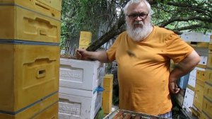перевожу пчел на ячейку 5,0 мм - часть 1 , семьи пчел отстроили соты с ячейкой 5,0 мм