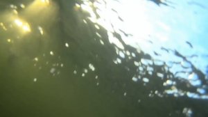 Троллинг окуня и щуки.