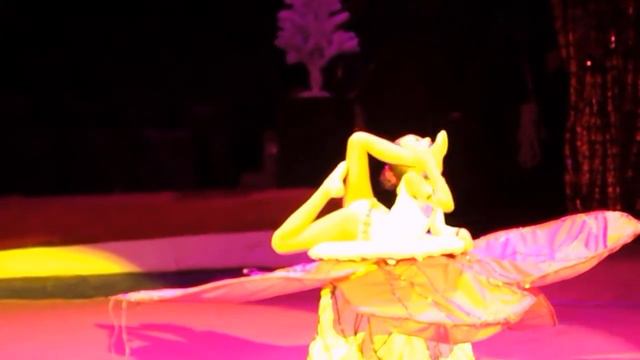 Дюймовочка каучук Герасимчук Элина триумф Чернигов.MOV смотреть онлайн