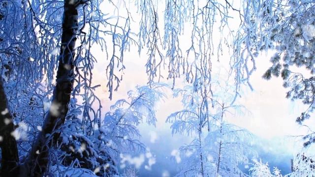 Андрей Обидин - "Снегопад"  Andrey Obidin - "Snowfall"