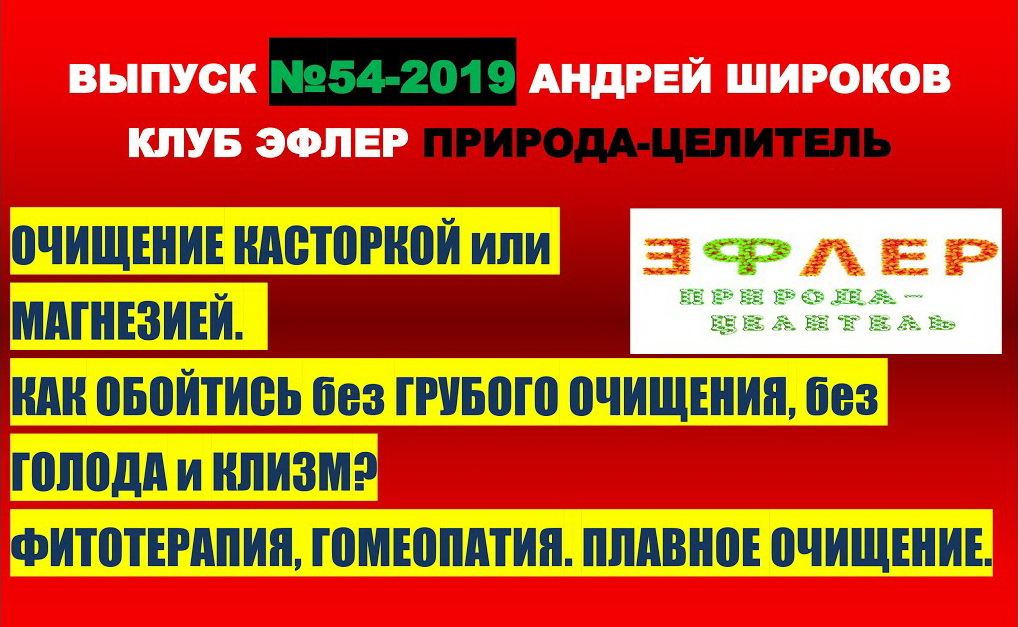 КАСТОРКА или МАГНЕЗИЯ? АЛЬТЕРНАТИВА масляной и минеральной ЧИСТКИ, без ГОЛОДА и КЛИЗМ.