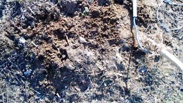 Тест ловушки на копытных смотреть онлайн