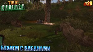 БУХАЕМ С КАБАНАМИ | TRUE STALKER  | Серия 29