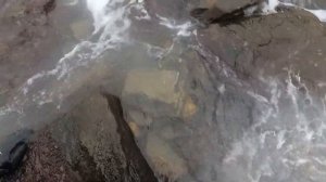 ПОДВОДНАЯ ОХОТА ЧЕРНОЕ МОРЕ СУПЕР ТРОФЕЙ
