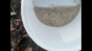 Правильная посадка ЛУКА под ЗИМУ ! Лук без стрелок это реально !? Главные ошибки при посадке ЛУКА !