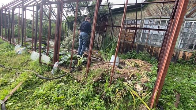 #12 Купила заброшенную дачу на Урале/ красота среди хлама/ Где муж? смотреть онлайн