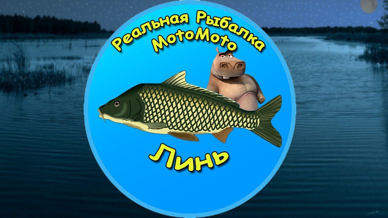 Как поймать Линя на Рыбхозе [NEW] | Реальная Рыбалка