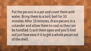 How do you roast pecans in the shell?