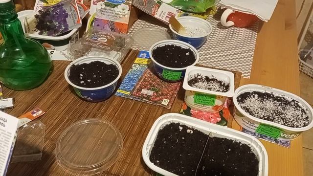 Посев однолетних и многолетних цветов в феврале. смотреть онлайн