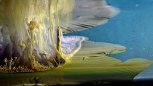 Визуализация Vangelis Aquatic Dance