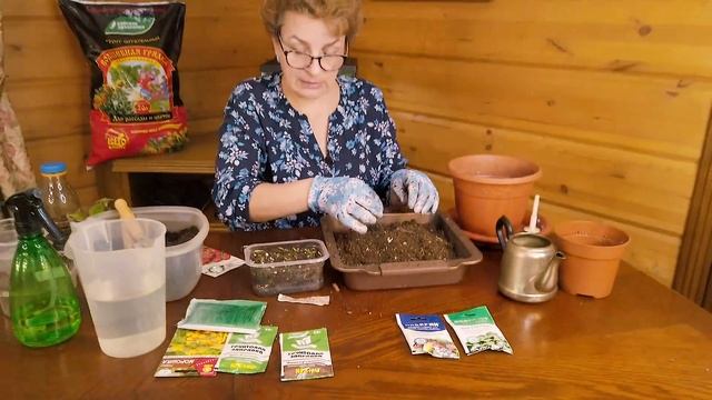 Как сеять томаты - что добавлять в почву? смотреть онлайн