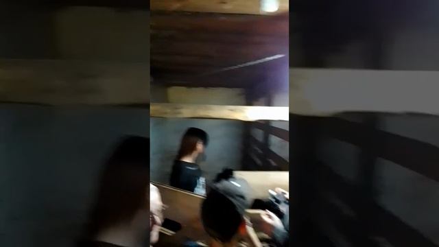 #николаевскаябБорковскаяПустынь смотреть онлайн