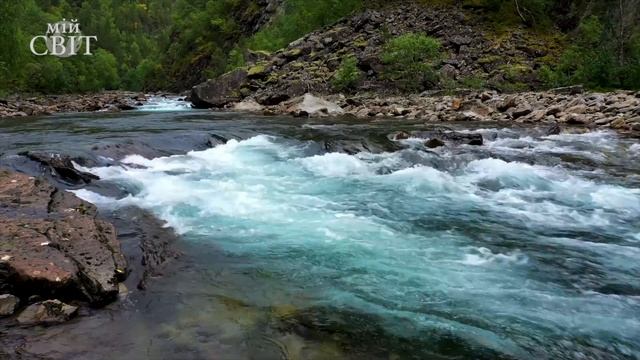 Медитація зцілення від Долорес Кеннон | Мій Світ