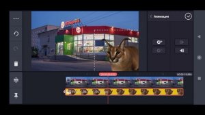 КАК СДЕЛАТЬ СЕРИАЛ ПРО ШЛЁПУ?