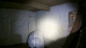 Ремонт заброшенного дома в Чернобыле. Волки на пороге. Что будет если жить в Зоне Отчуждения?