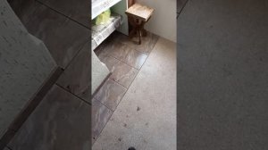 Штукатурка короед на печку на даче.