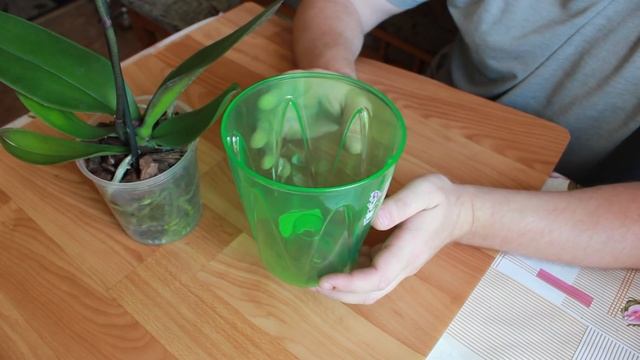 Как правильно поливать фаленопсис. Домашняя орхидея - бабочка. Горшок Орхидея смотреть онлайн