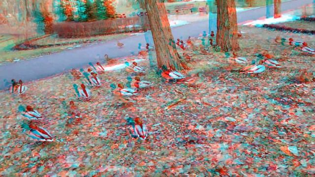 предновогодние утки Горащихи в 3D (анаглиф, красно-синие очки) смотреть онлайн