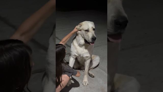 ЭДУАРДОВНА ПОЙМАЛА БАНДУ смотреть онлайн