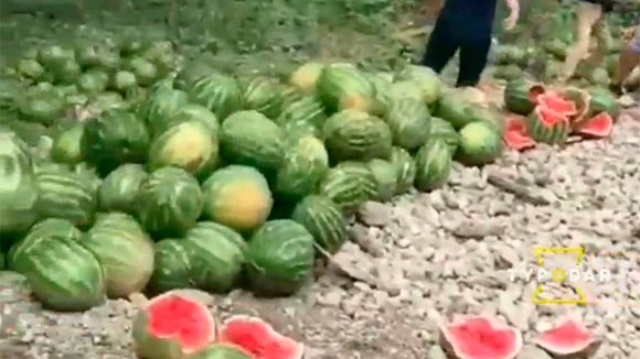 В Туапсинском районе на Шаумянском перевале перевернулась фура с арбузами