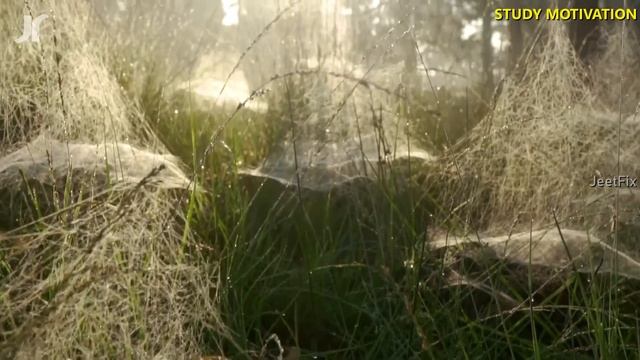 EVERY STUDENT MUST WATCH THIS INSPIRATIONAL VIDEO | How to Get Success in Student Life? By JeetFix смотреть онлайн