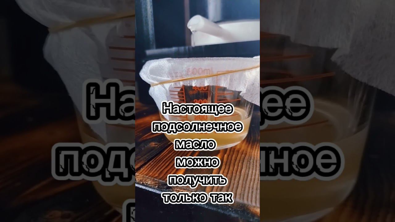 Это ли подсолнечное масло вы покупаете в магазине? #сыродавленноемасло #подсолнечник #здоровье