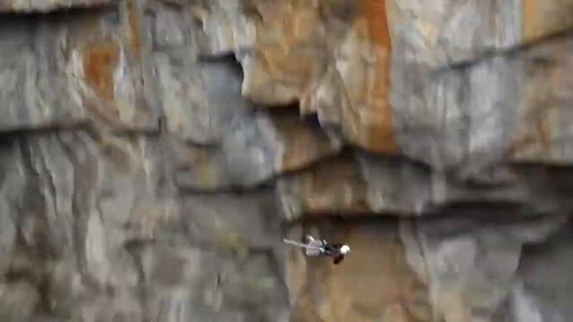 Прыжок с тарзанки. Туимский провал смотреть онлайн