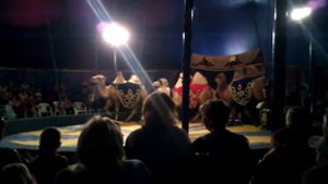 Ростовский цирк "Шапито" в г.Вольск - Выступление  верблюдов часть 1