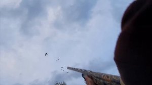 Охота на гуся/только выстрелы