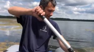 Саргассово море