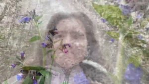 Про медуницу лекарственную. Полезные свойства. Как заготавливать? Что из нее готовить?