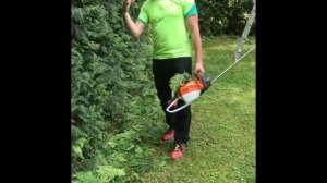 Топиарная стрижка