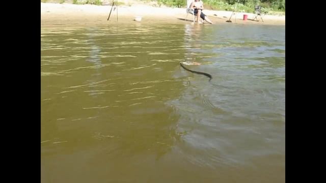 Уж на катере смотреть онлайн