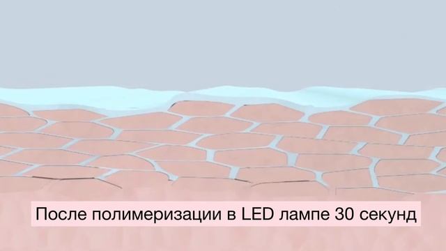 Восстановление и Укрепление ногтей после гель лака и наращивания - Seal & Protect Magnetic