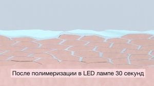 Восстановление и Укрепление ногтей после гель лака и наращивания - Seal & Protect Magnetic