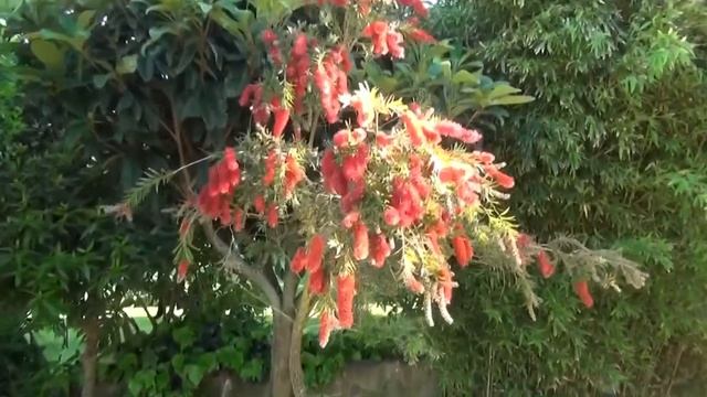 Португалия. Кашкайш смотреть онлайн