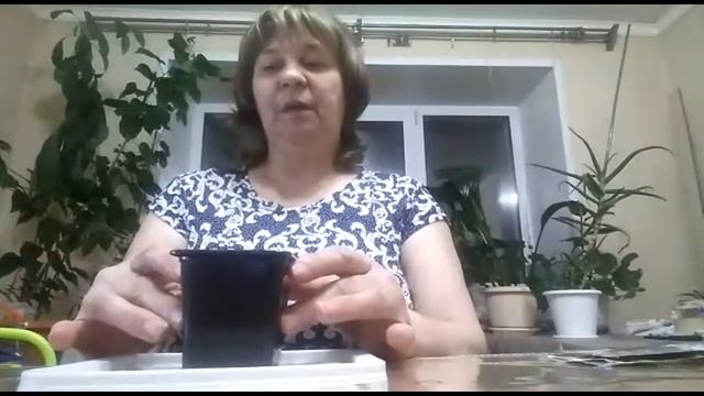 сажаю кофе/как посадить кофе дома смотреть онлайн