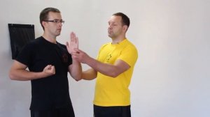 Уроки Вин Чунь от Владимира Козлова   Блок Ву Сао