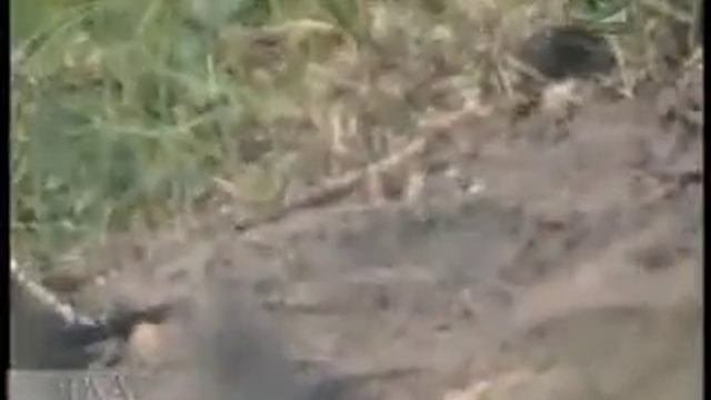 Наставления Серафима Саровского. О посте..flv