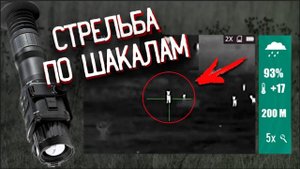 Шакалы легли ВСЕ | Охота с тепловизором YUKON NORDFORCE