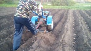 Посадка картофеля тяжелым мотоблоком