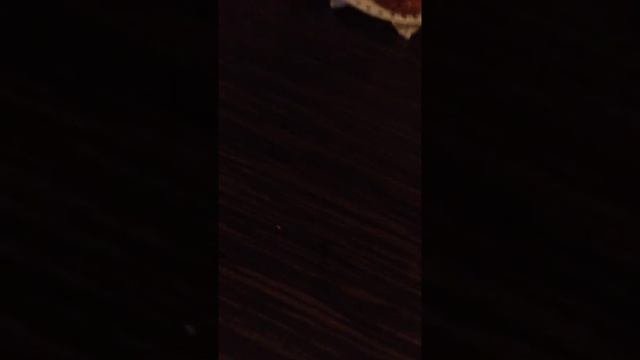 Как сварить САМОЕ КРЕПКОЕ пасхальное яйцо!!