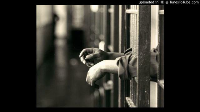 черный дельфин смотреть онлайн