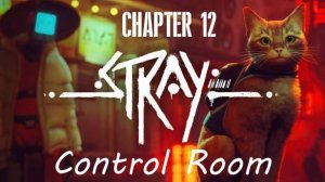 Stray Gameplay 4K UHD. Chapter 12: Control Room